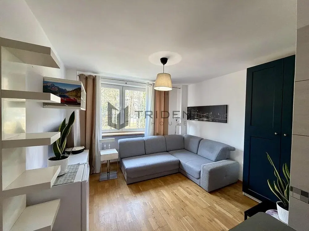 Dnevna soba; prirodno svjetlo, drveni pod, moderni stil