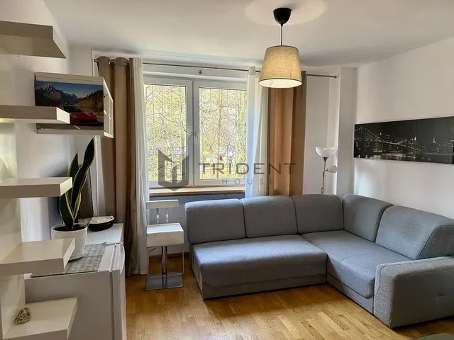 Woonkamer; uitzicht, natuurlijk licht, moderne stijl, houten vloer