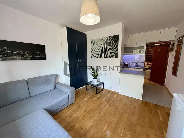 Woonkamer; houten vloer, natuurlijk licht, moderne stijl