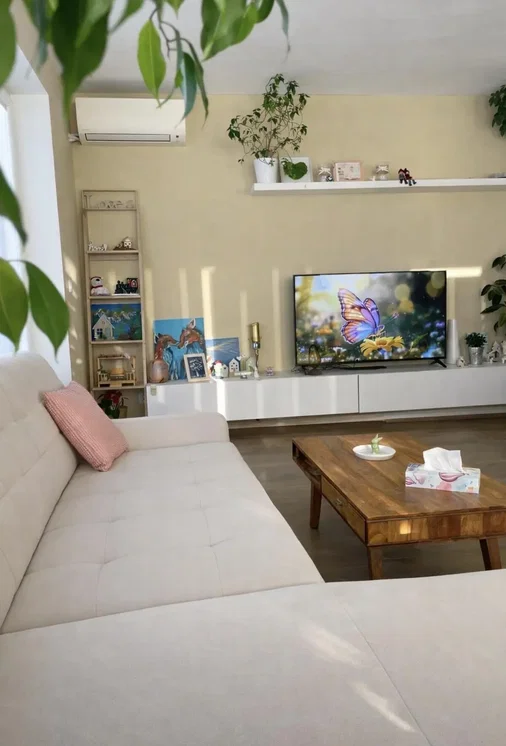 Dnevna soba; prirodno svjetlo, moderni stil