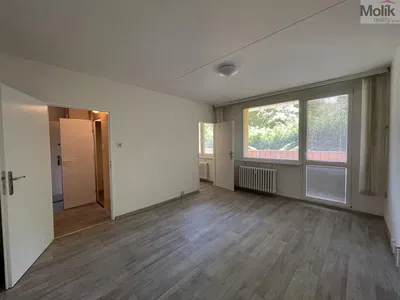 Wohnzimmer; tageslicht, renoviert, fliesenboden