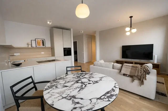 Obývací pokoj; kuchyňské spotřebiče, přirozené světlo, moderní styl, dřevěná podlaha