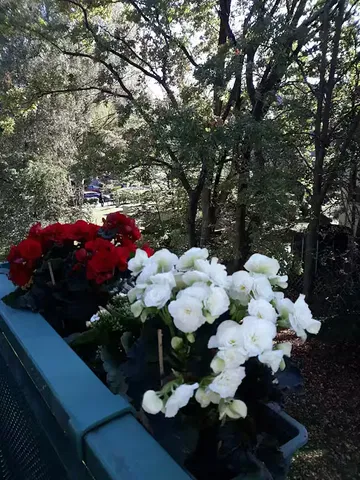 Balkon; światło dzienne, widok