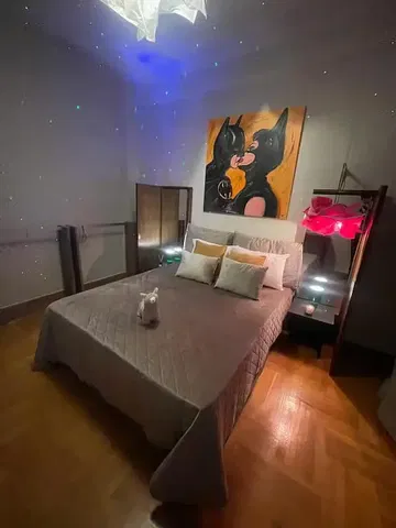 Bedroom; wood floor, natural light, modern style