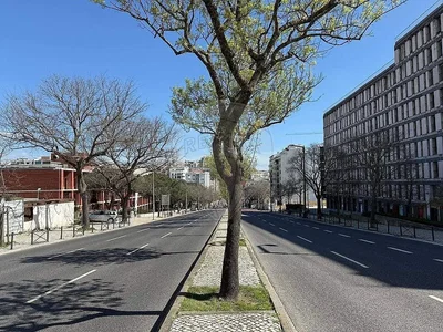 Кућа и околина; поглед