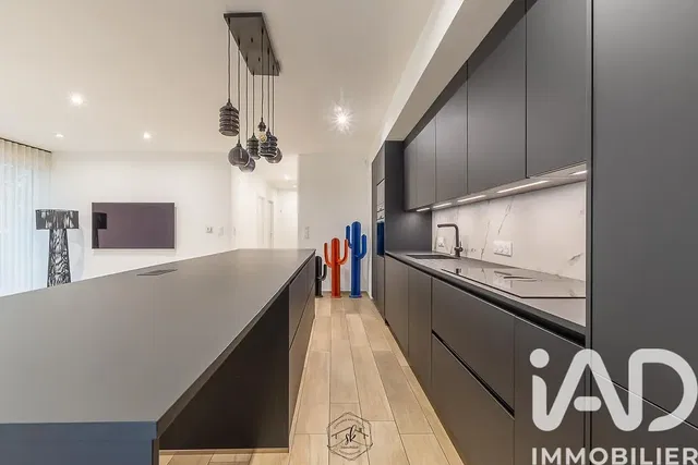 Keuken; keukenapparatuur, moderne stijl, gerenoveerd, natuurlijk licht