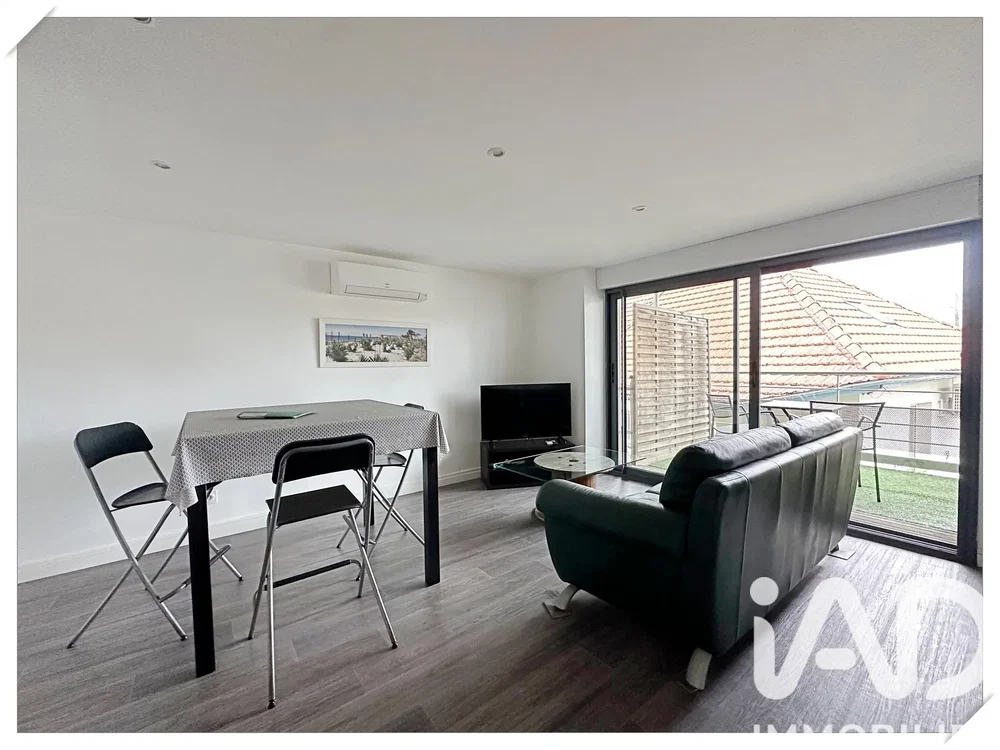 Living room; view, natural light