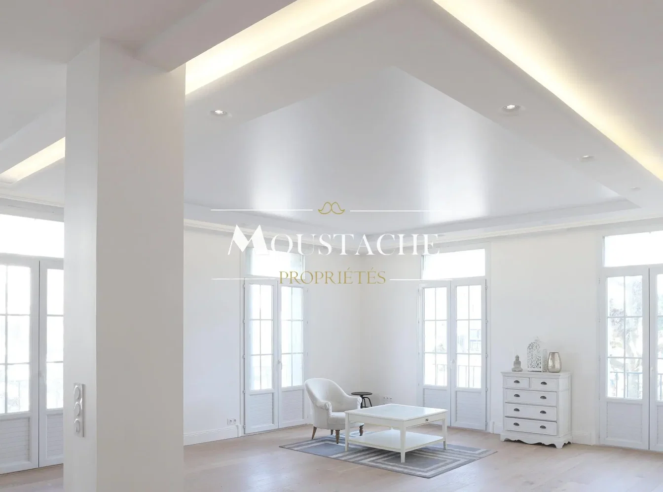 Salon; lumière naturelle, style moderne