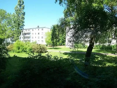House and surroundings; view, natural light