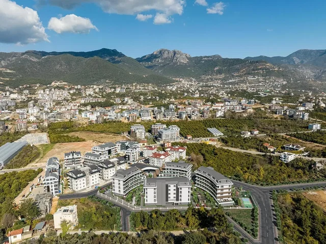 House and surroundings; view