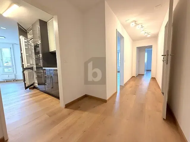 Küche; küchengeräte, holzboden, tageslicht