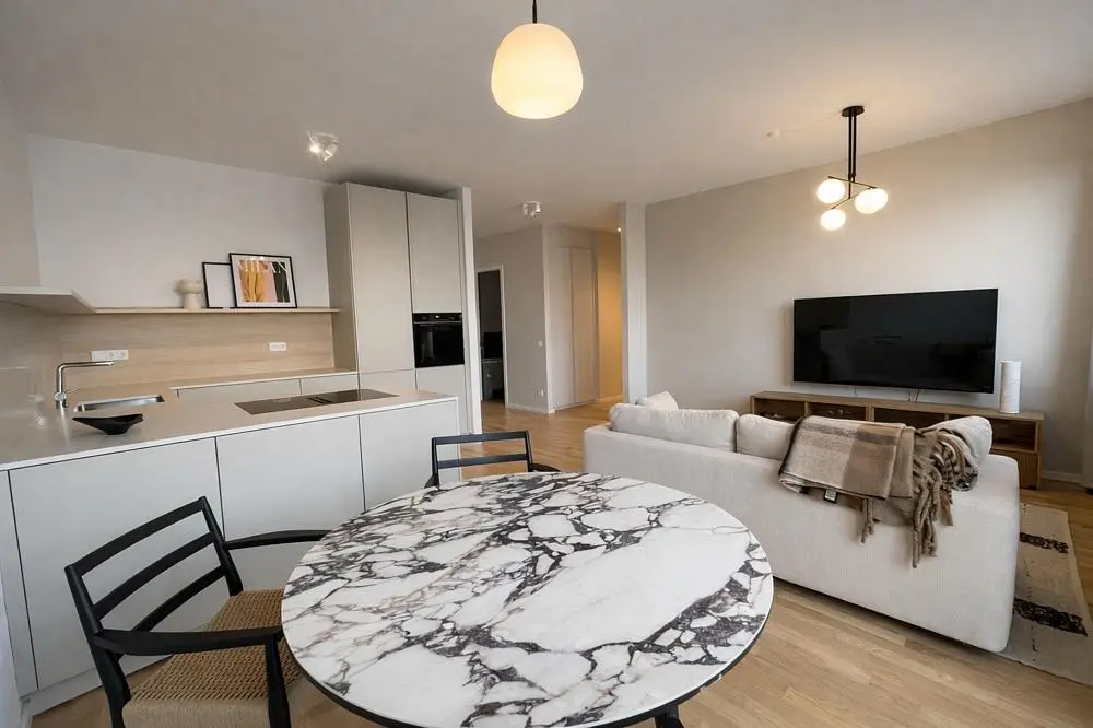 Dnevna soba; kuhinjski aparati, prirodno svjetlo, moderni stil, drveni pod