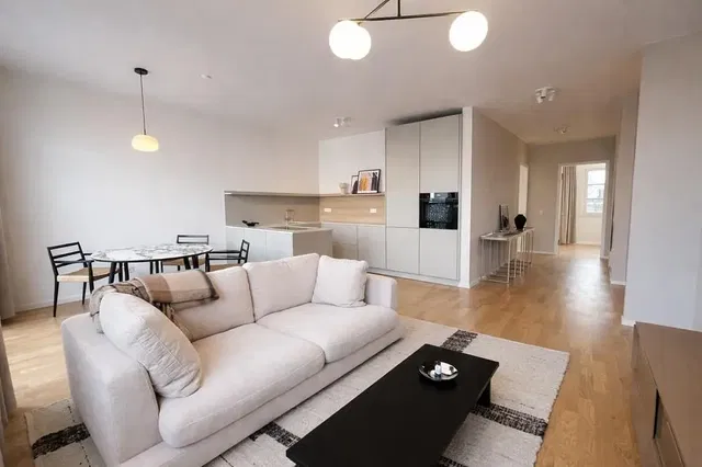 Дневна соба; природно светло, модерни стил, дрвени под