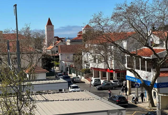 House and surroundings; view