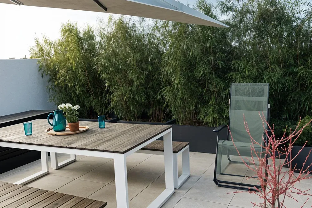 Teras; doğal ışık, modern stil