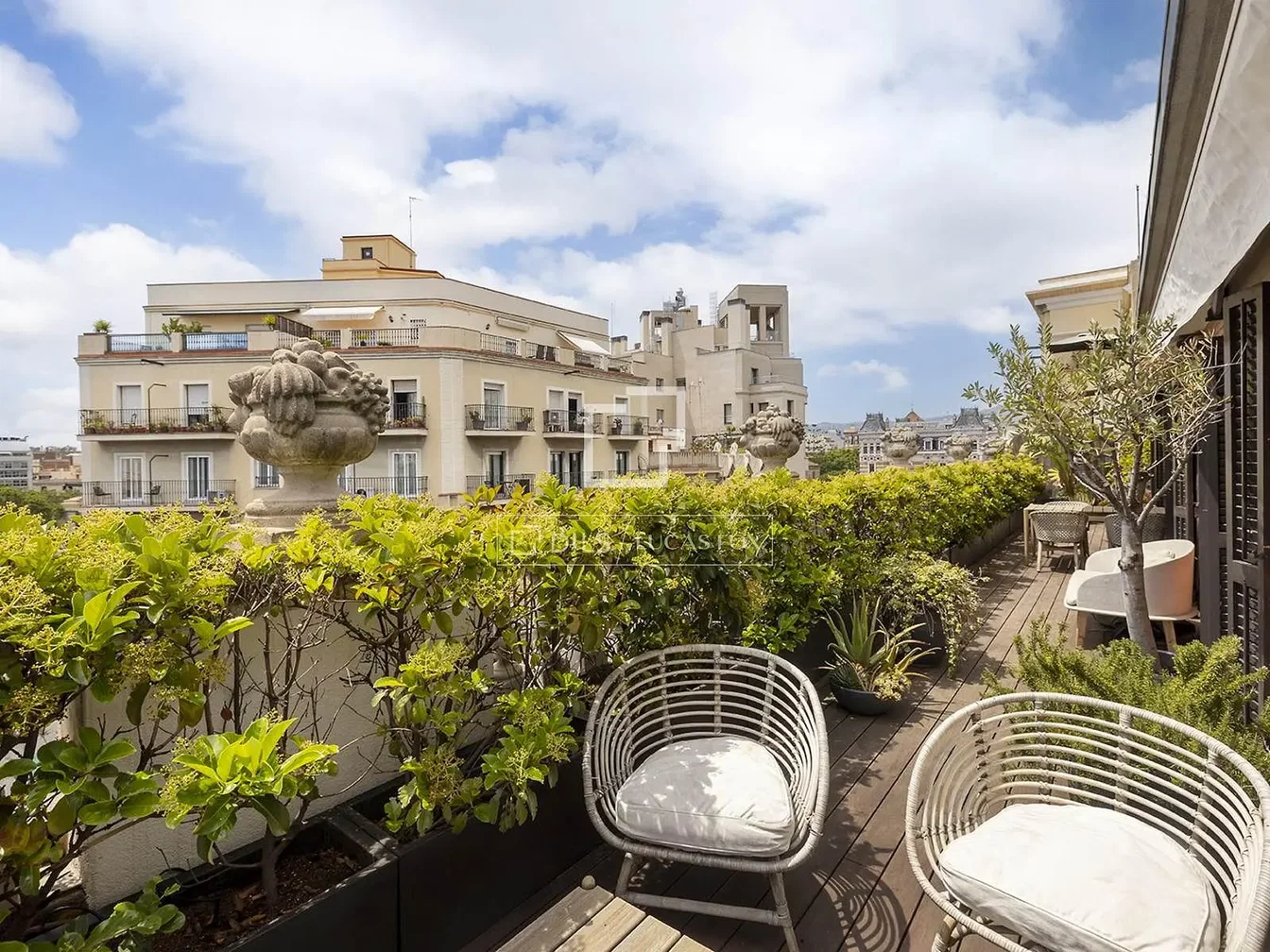 Teras; manzara, doğal ışık