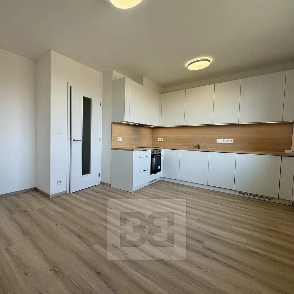 Kuhinja; kućanski aparati, renoviran, prirodna svjetlost, moderan stil