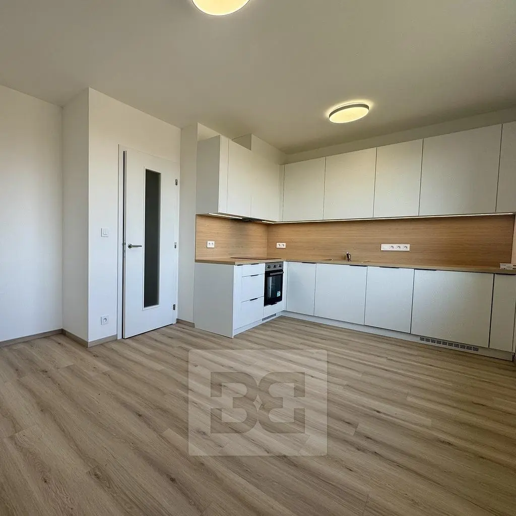 Kuhinja; kućanski aparati, renoviran, prirodna svjetlost, moderan stil