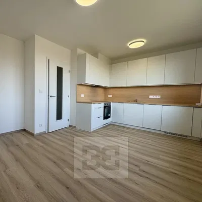 Kuhinja; kućanski aparati, renoviran, prirodna svjetlost, moderan stil