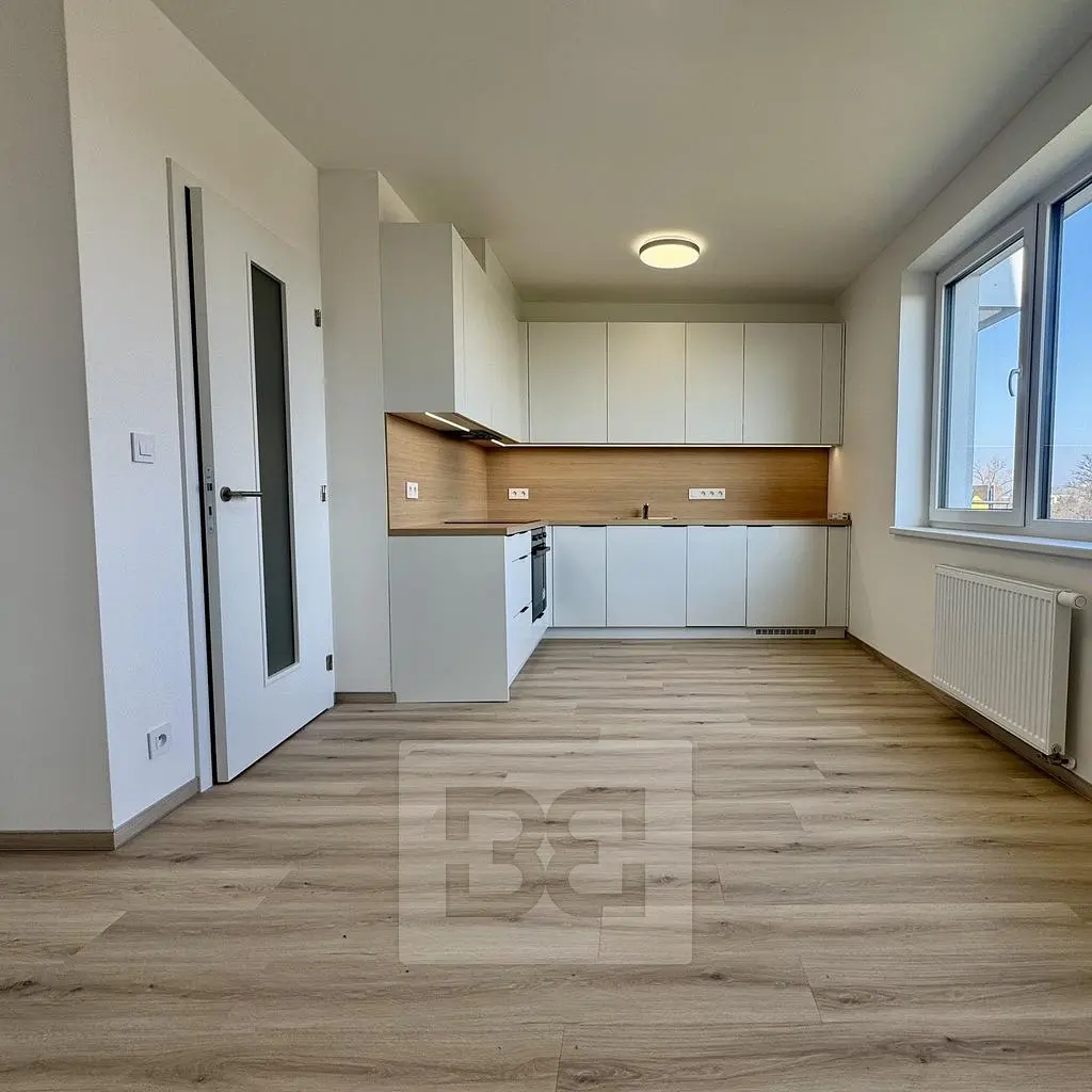 Kuhinja; kućanski aparati, prirodna svjetlost, moderan stil, renoviran