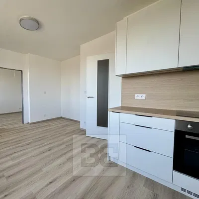 Kuhinja; kućanski aparati, prirodna svjetlost, moderan stil, renoviran