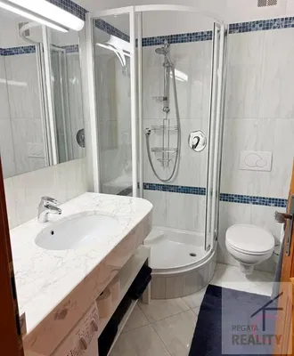 Salle de bain; carrelage, rénové, lumière naturelle, style moderne