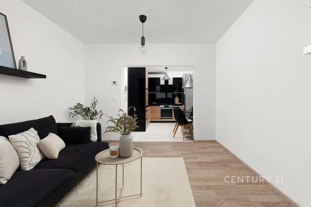 Woonkamer; natuurlijk licht, moderne stijl