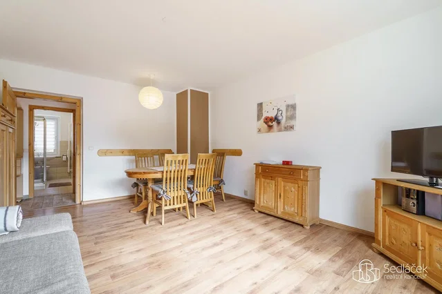 Living room; wood floor, rustic style