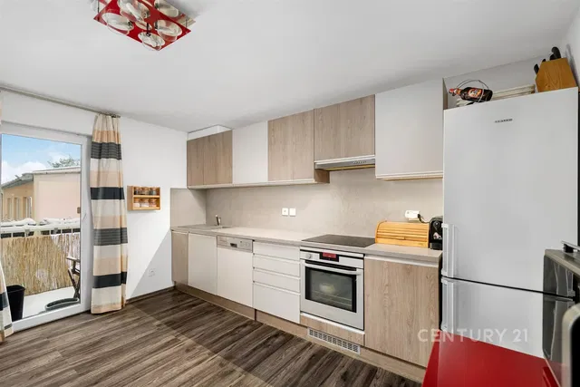 Kitchen; kitchen appliances, view, natural light, modern style