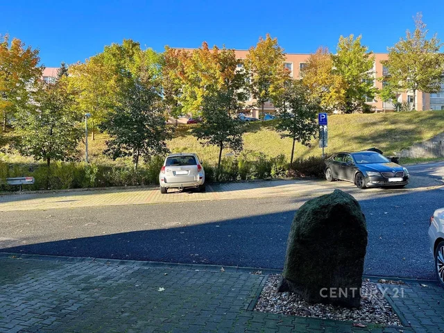 House and surroundings; view