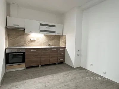 Küche; küchengeräte, renoviert, tageslicht, moderner stil