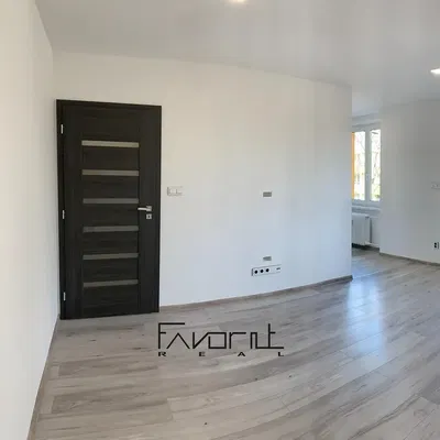 Ostatní; dřevěná podlaha, přirozené světlo, po rekonstrukci