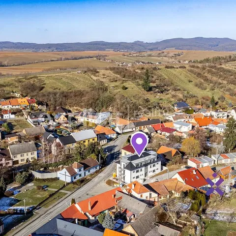 House and surroundings; view