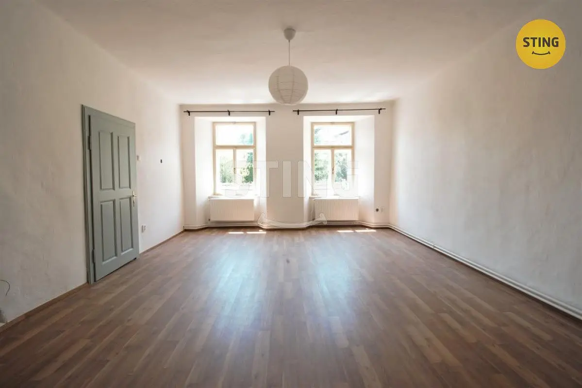 Salon; parquet, lumière naturelle