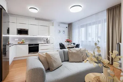 Wohnzimmer; blick, tageslicht, moderner stil, renoviert