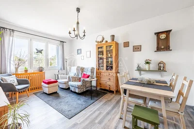 Wohnzimmer; tageslicht, moderner stil