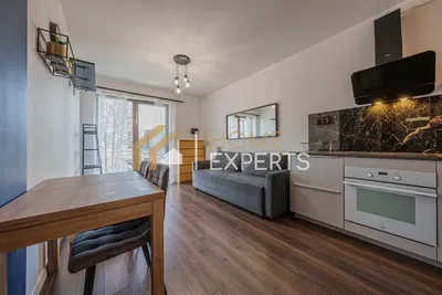 Oturma odası; manzara, ahşap zemin, doğal ışık