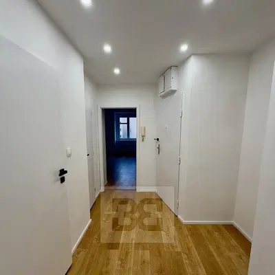 Sonstiges; holzboden, tageslicht