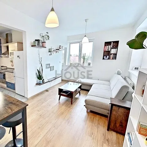 Дневна соба; природно светло, модерни стил