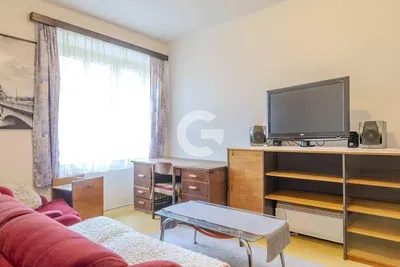 Wohnzimmer; tageslicht