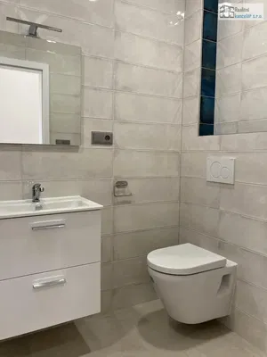 Toilette; pavimento in piastrelle, ristrutturato, luce naturale, stile moderno