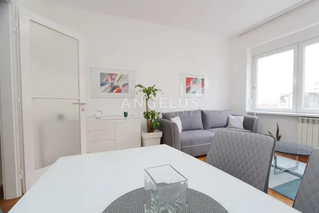 Salon; style moderne, lumière naturelle
