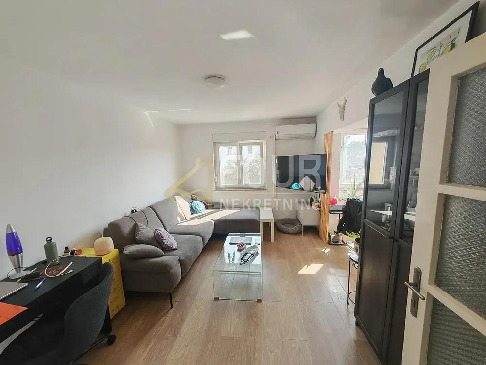Living room; natural light, wood floor, modern style