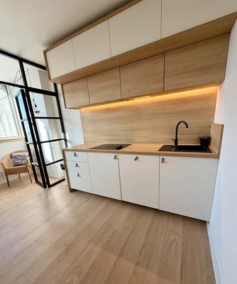 Kuchyně; kuchyňské spotřebiče, přirozené světlo, moderní styl, dřevěná podlaha