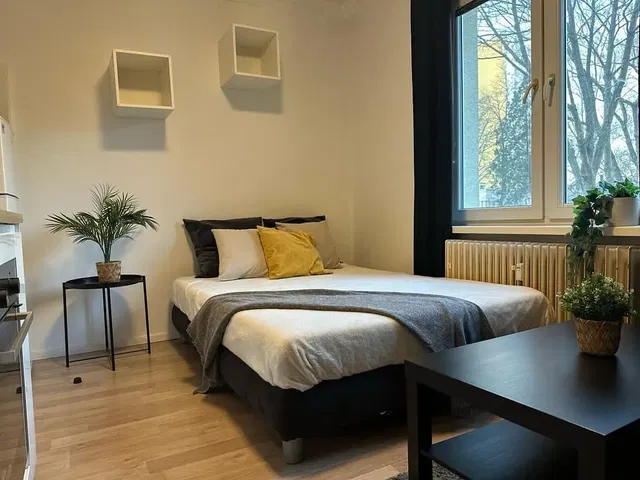 Bedroom; wood floor, natural light, modern style