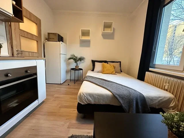 Bedroom; kitchen appliances, wood floor, natural light, modern style