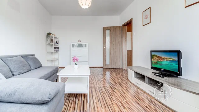 Living room; wood floor, natural light, modern style