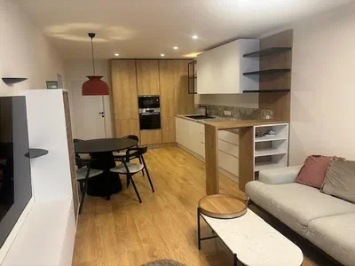 Obývací pokoj; kuchyňské spotřebiče, přirozené světlo, moderní styl, dřevěná podlaha