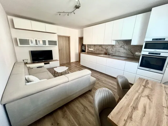 Living room; kitchen appliances, natural light, modern style, wood floor