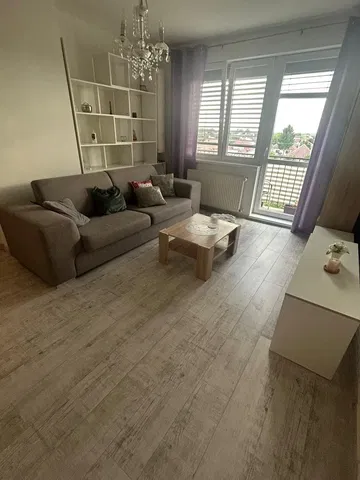 Living room; view, wood floor, natural light